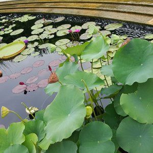 Meet your Posher, Claire